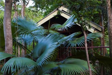 Khaosok Riverside Cottages - 128
