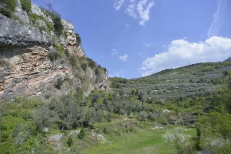 Seele Garda - 58