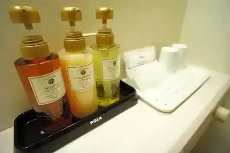 Osaka Joytel - 38