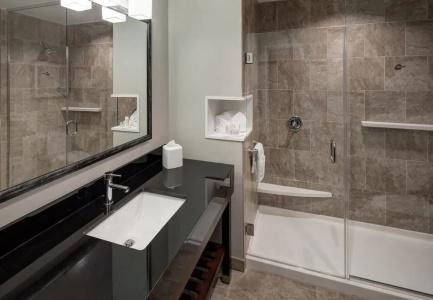 Courtyard by Marriott Dallas/Richardson - 9