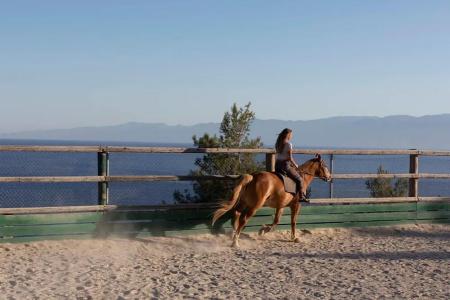 Yayaki Spetses - 14