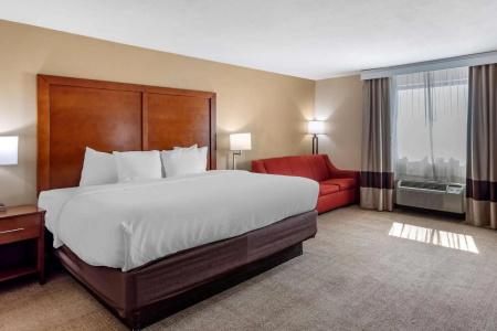 Comfort Inn Nashville West - 5