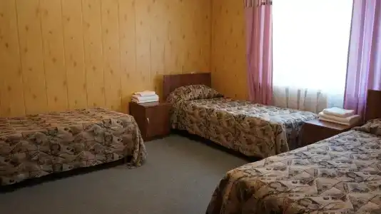Аист - 4