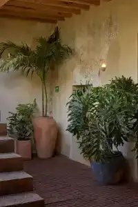 Escondido Oaxaca - 12