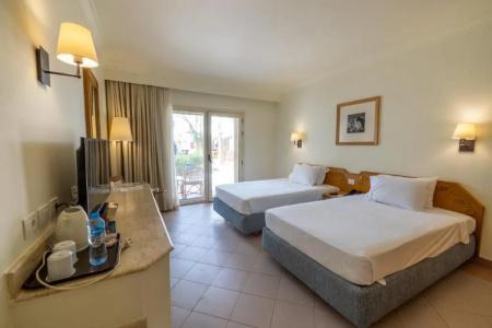 Camel Dive Club & - Boutique - 41