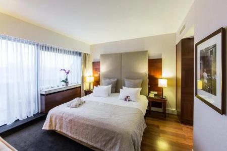 Crowne Plaza Maastricht, An Ihg - 167
