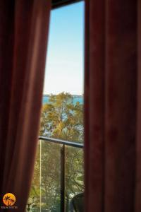 Palm Suites - 57