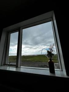 Sauðanes - 63
