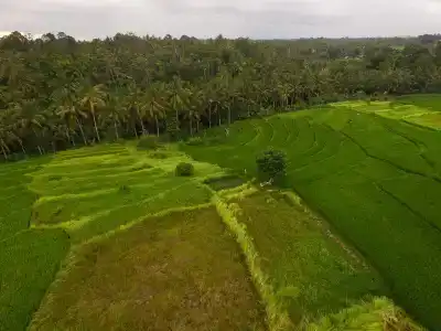 Purana Boutique Resort - 20