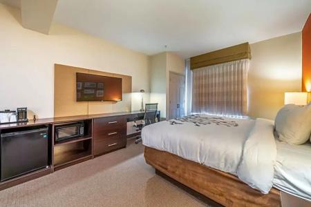 Restwell Inn & Suites I-45 North - 57