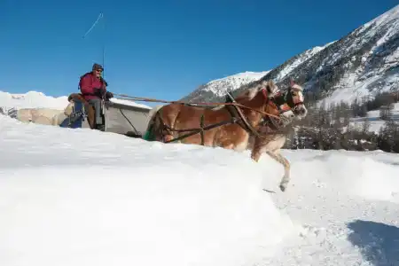 Pontresina Youth - 37
