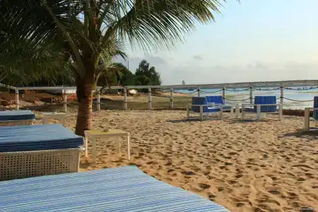 Coral Beach - 29