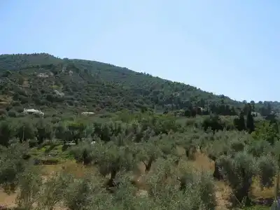 Prince Stafilos - 21