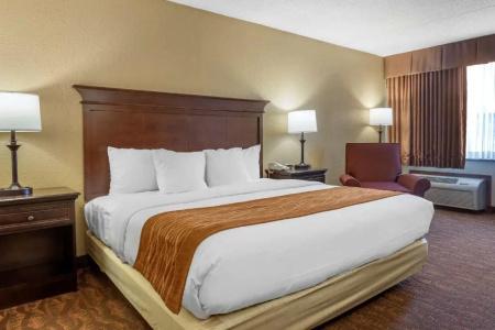 Comfort Inn at Thousand Hills - 42