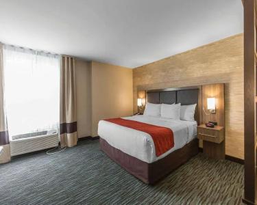 Comfort Inn & Suites Airport North - 22