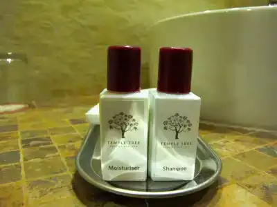 Temple Tree & Spa - 32