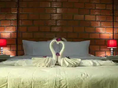 Casacool - 20