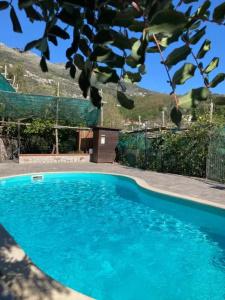 Agriturismo Nonno Luigino - 19