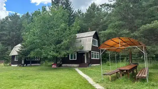 Зеленая поляна - 10