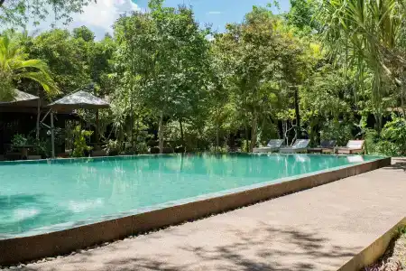 Palm Village Resort & Spa - 38