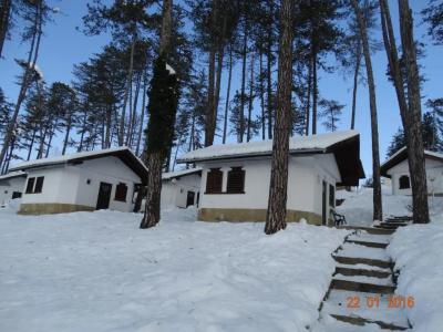 Complex Brashlyan - 29
