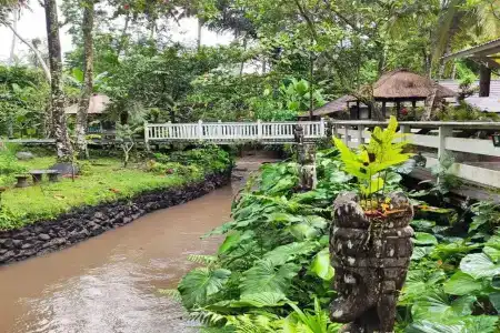 Ubud Sari Health Resort - 4