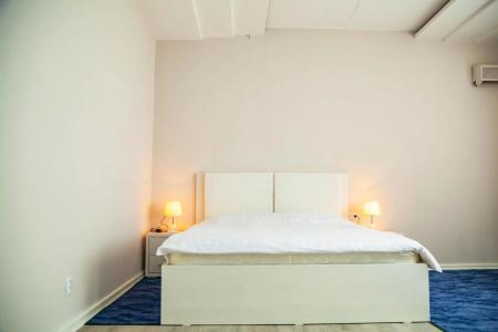 Ridon Lux - 1