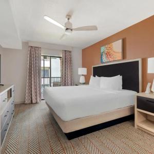 Parkway International Celebration Area By Diamond Resorts - 40