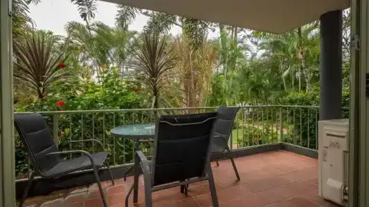 Montana Palms - 58