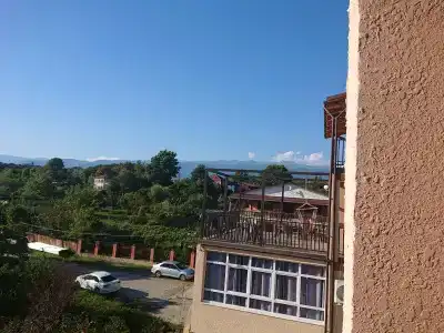 Альха - 20