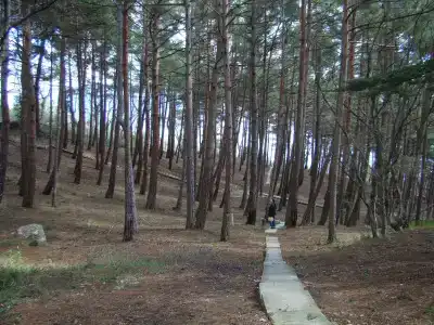 Горный - 7