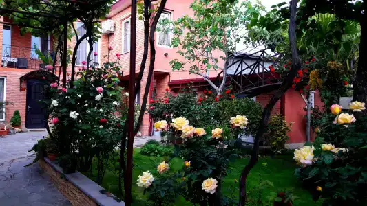 Green Garden - 23