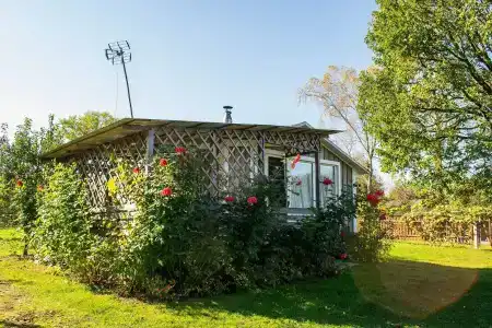 Боровики - 26