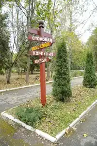 Красный Бор - 10