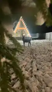 На природе - 1
