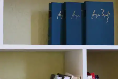 Комнаты на Репина - 13