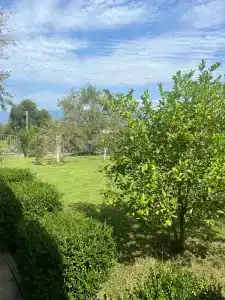 Villa Apsua - 69