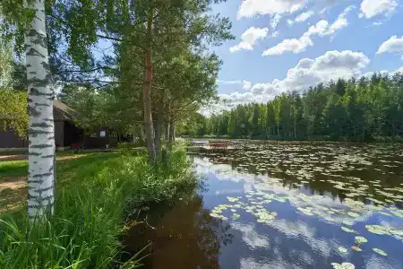 База отдыха - рыбное хозяйство Щарка» - 38
