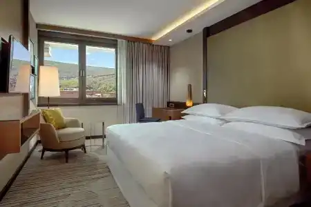 Sheraton Grand Tbilisi Metechi Palace - 43