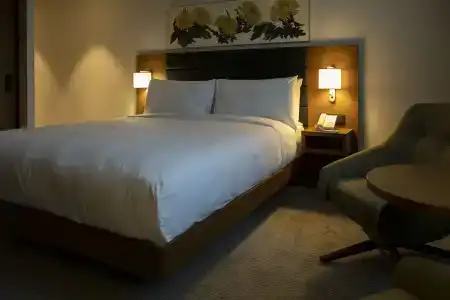 Hilton Garden Inn Tbilisi Chavchavadze - 45