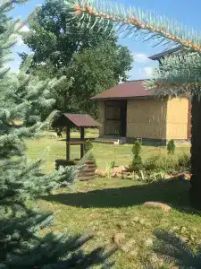 Багнюки - 0
