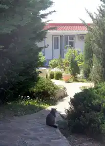 Жемчужина Степи - 13