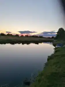 Челмужская усадьба - 112