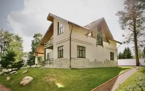 Черника - 0