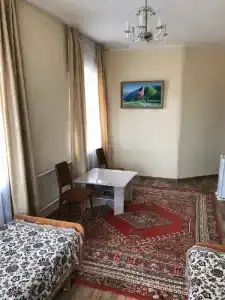 Визит - 44