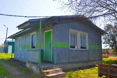 Фестиваль - 2