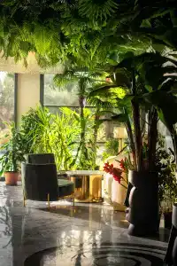 Tnr Boutique&Spa - 7