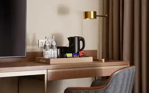 Swissôtel Wellness Resort Alatau Almaty - 14