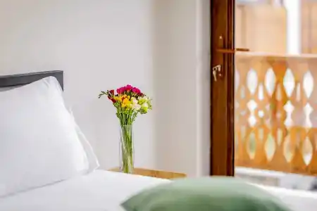 Taniqinn - 4