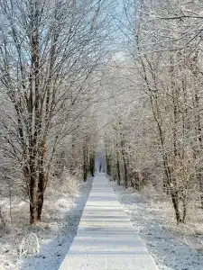 Берег желаний - 4